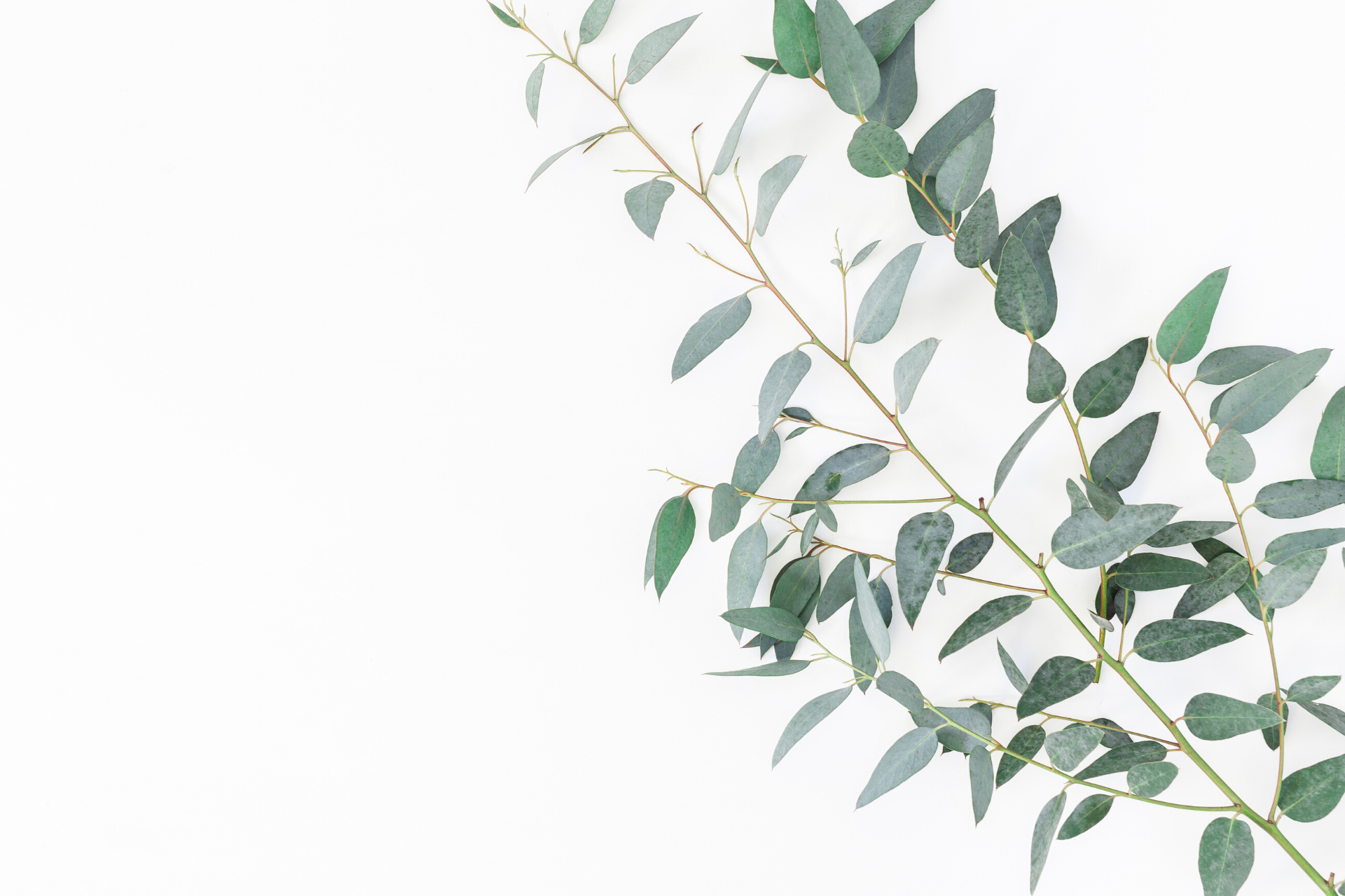 Creating a daily wellness routine: How to incorporate supplements & aromatherapy into your day