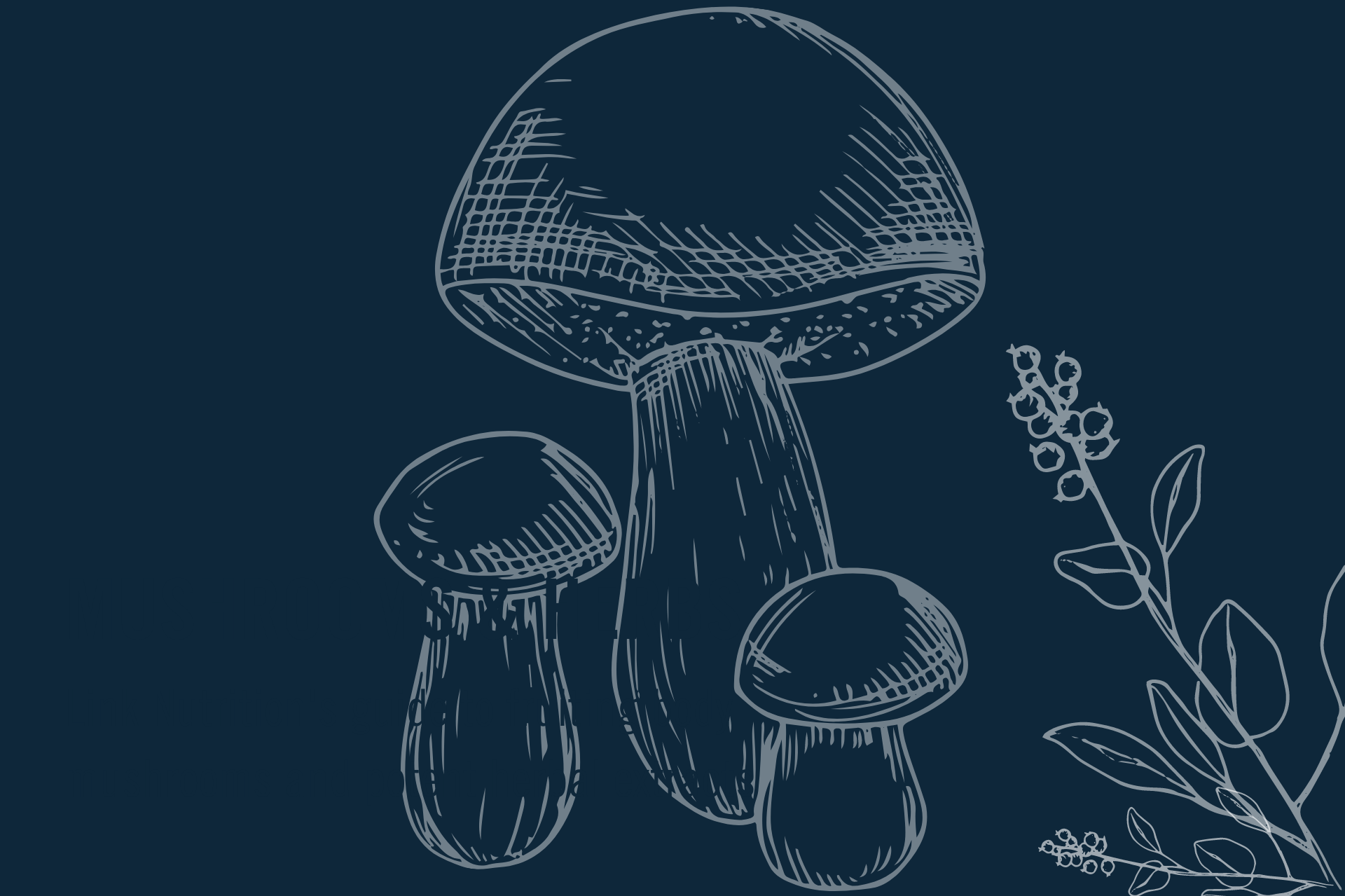 Link Nutrition's guide to fruiting body mushrooms and potent herbal extracts