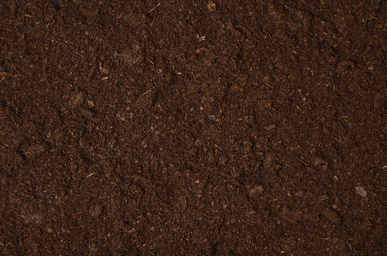 Soil depletion, and why we need vitamins more than ever