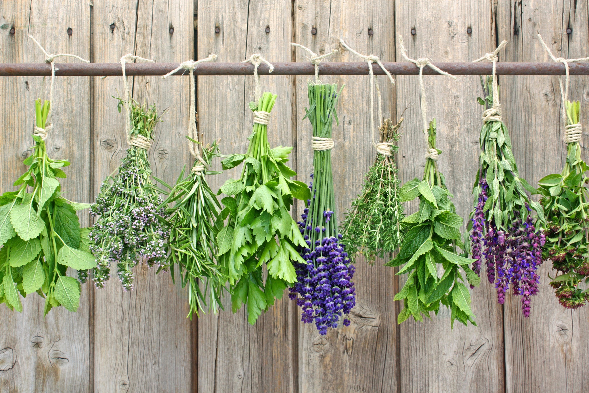 How herbs can help to boost immunity