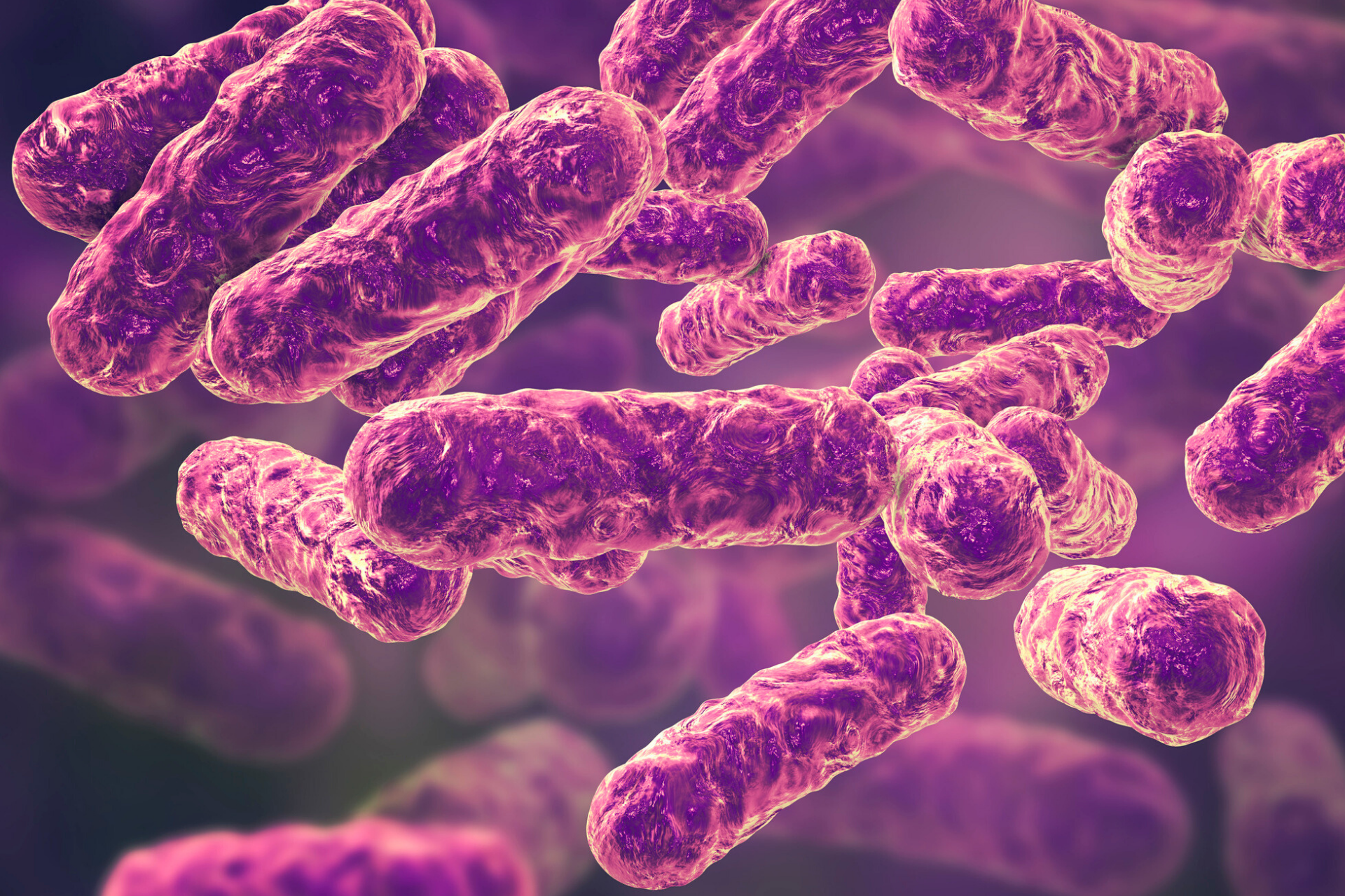 Bacillus subtilus & Parkinson's Disease: Understanding the latest research